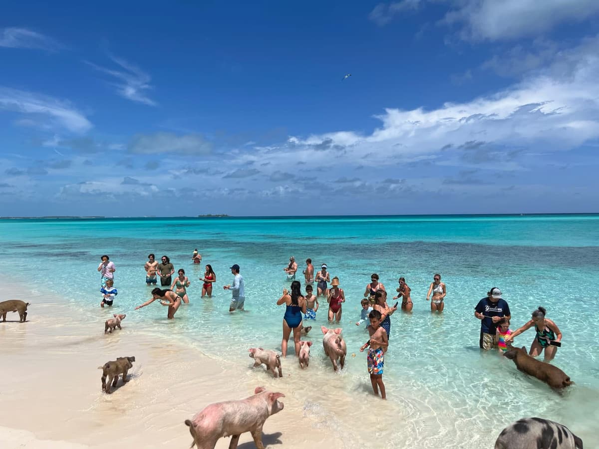 Da'PigBeach, photo 1 of 2