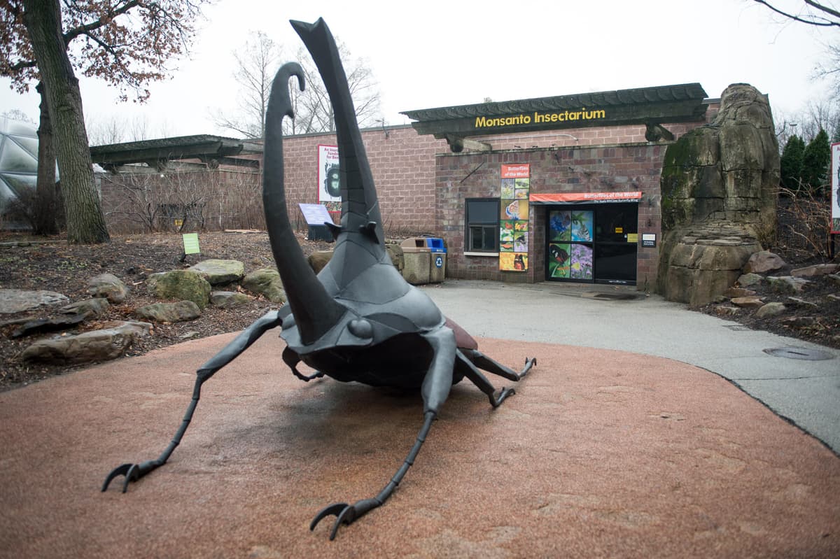 Monsanto Insectarium