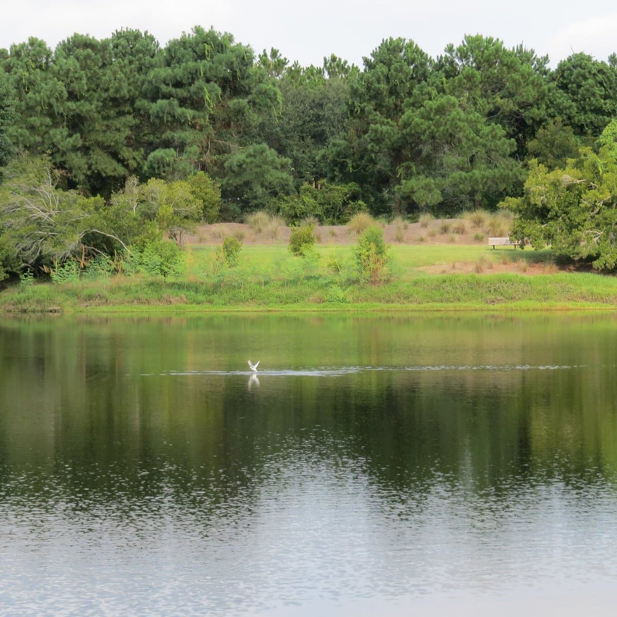 Jarvis Creek Park, photo 1 of 4