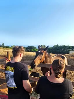Maui Animal Farm