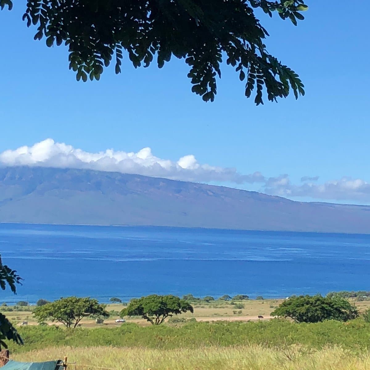 Maui Animal Farm, photo 1 of 2