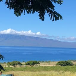Maui Animal Farm