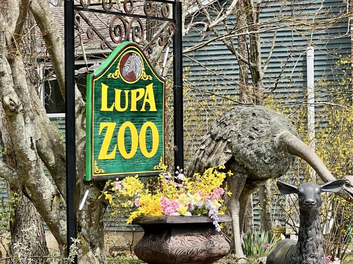 Lupa Zoo, photo 1 of 2