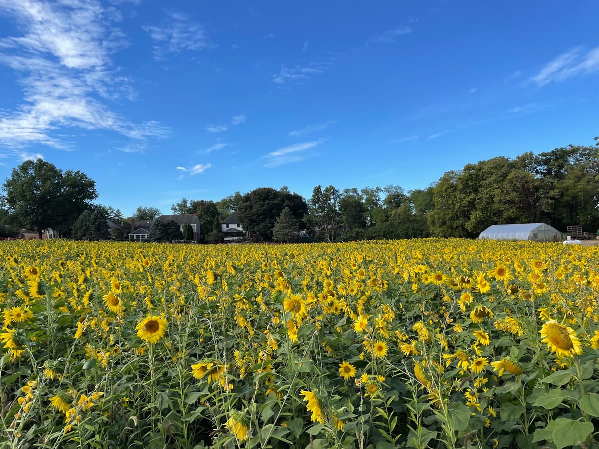 Gorman Heritage Farm