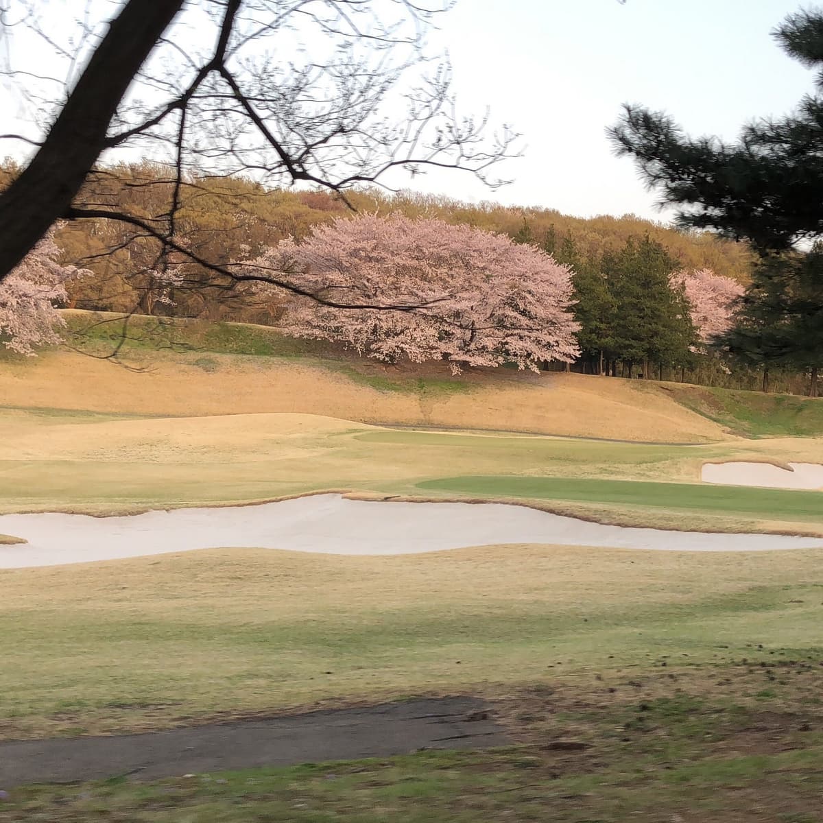 Tama Hills Recreation, photo 1 of 2