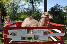 Animals R Us Petting Zoo