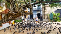 Parque de las Palomas