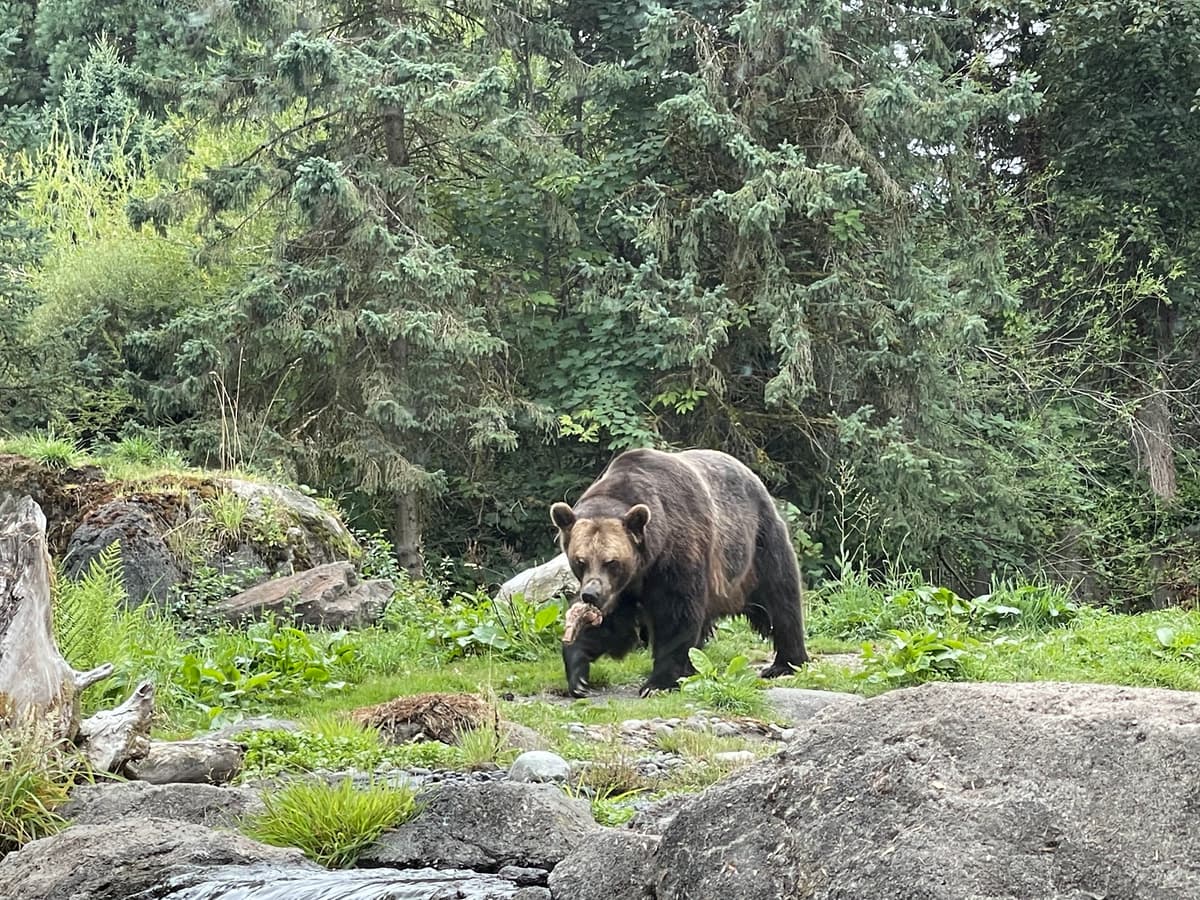 Seattle Toddler Activity Guide