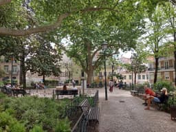 Jardim Fialho de Almeida