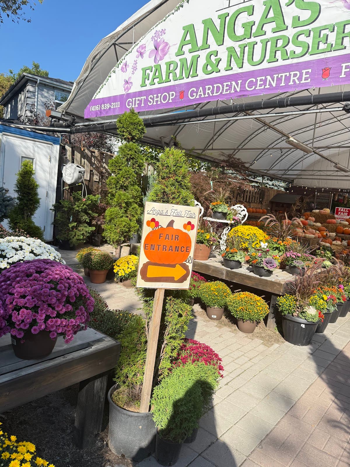 Anga's Farm & Nursery
