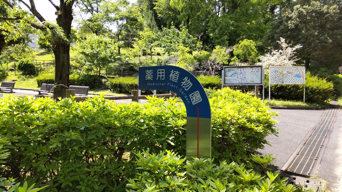 Botanical Gardens, Tokyo university of pharmacy and life scienses