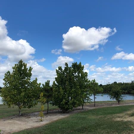 Jim and JoAnn Fonteno Family Park — photo 1 of 6
