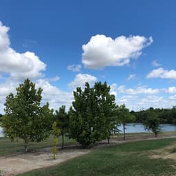 Jim and JoAnn Fonteno Family Park