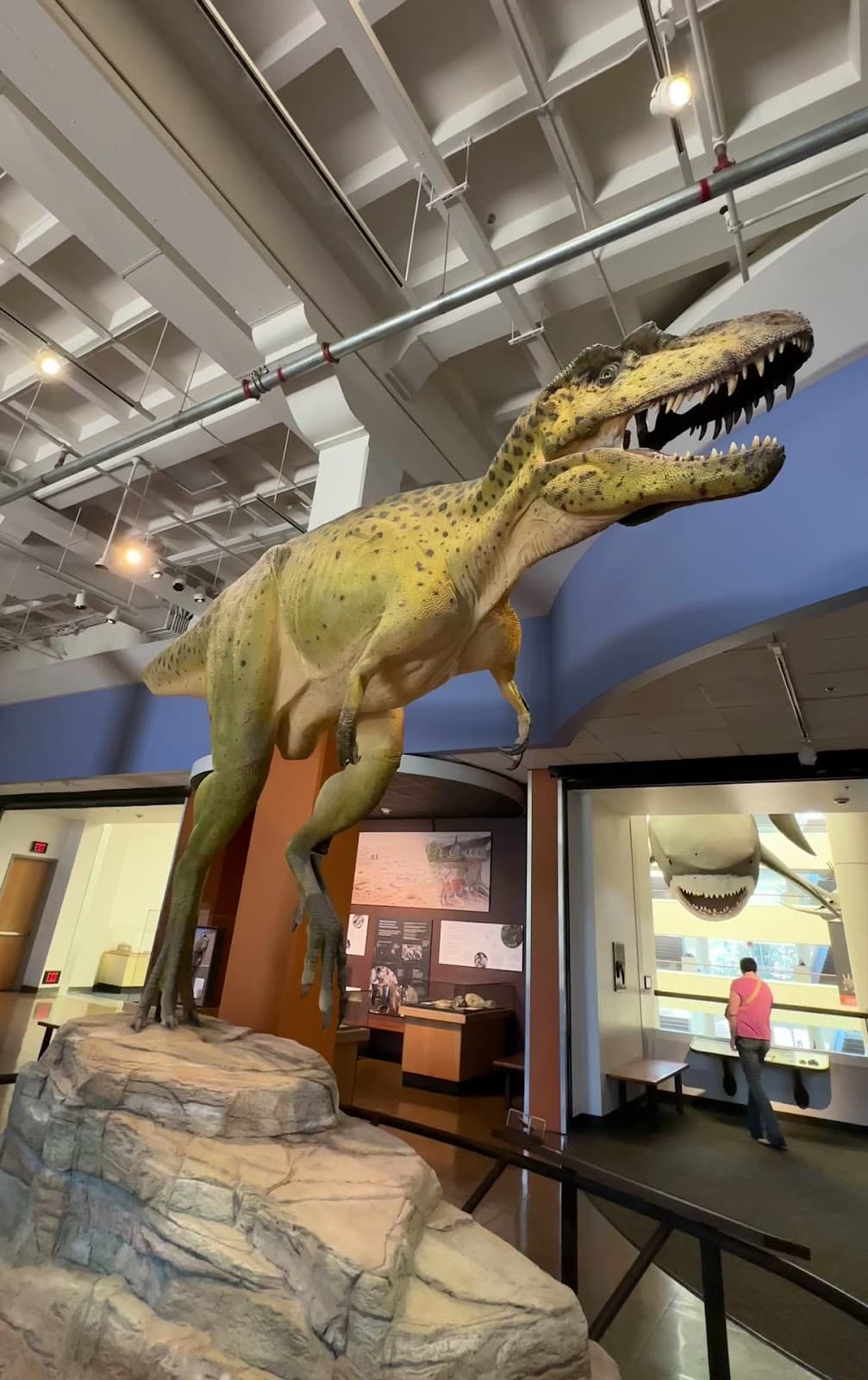 San Diego Natural History Museum