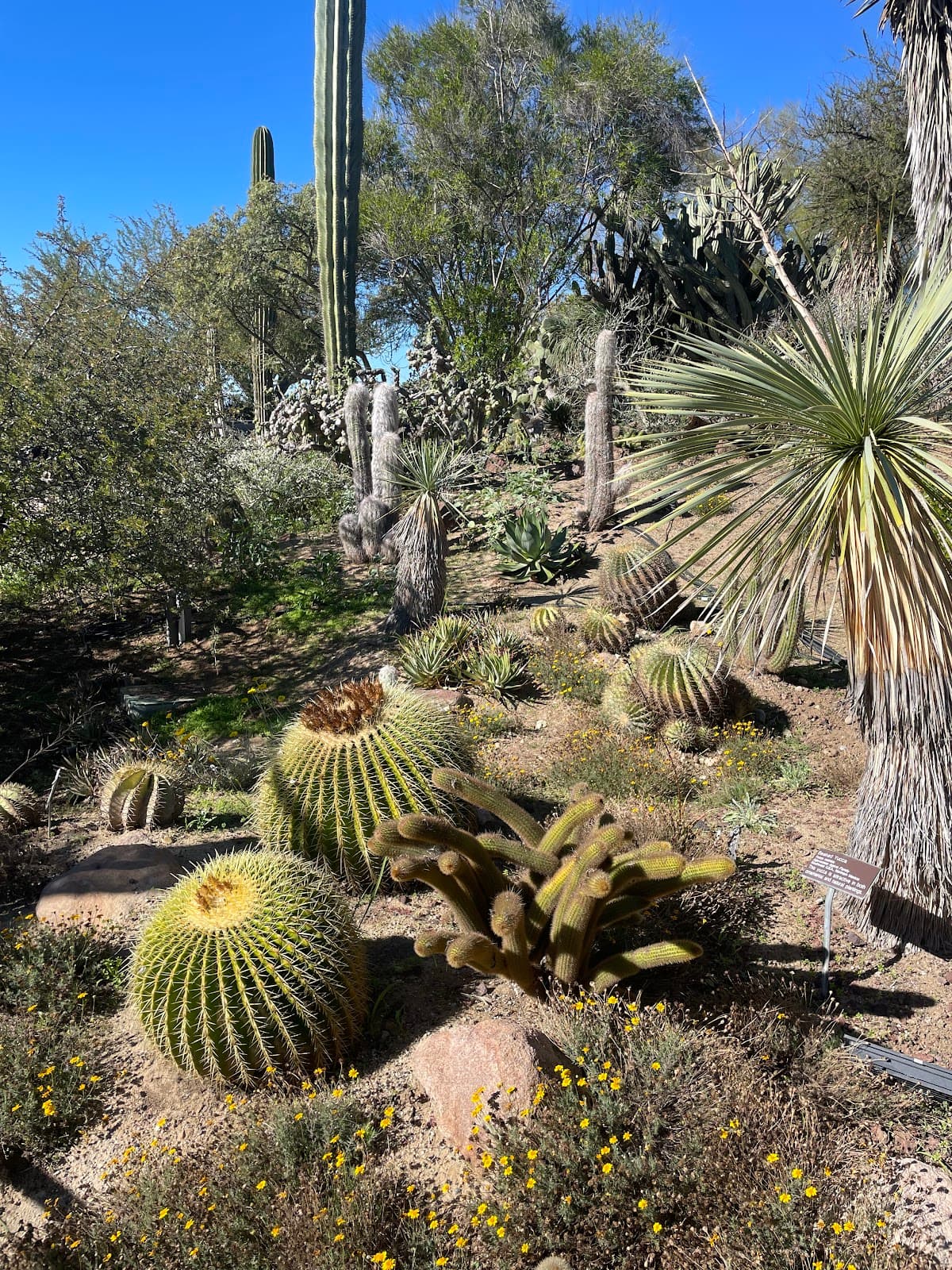 San Diego Botanic Garden Admissions