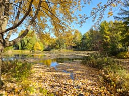 First Nations Garden