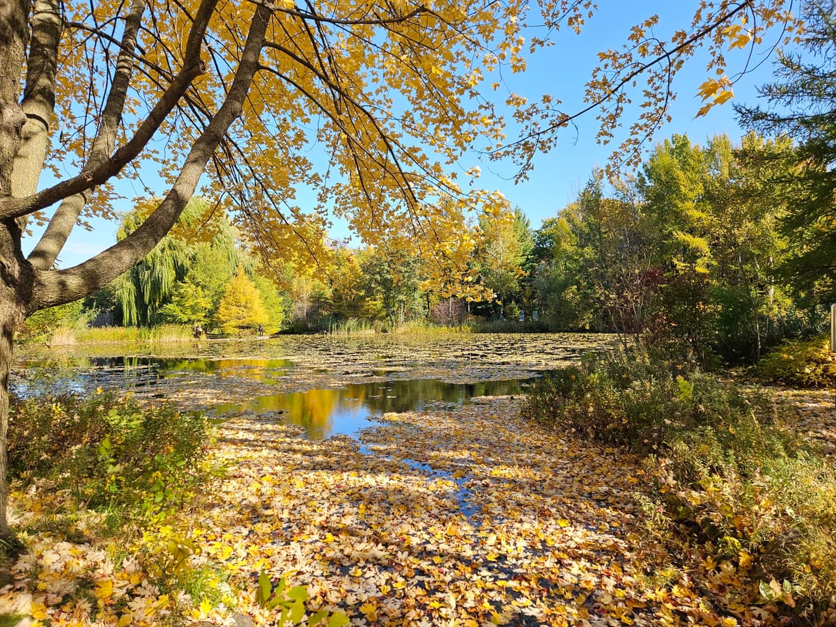 First Nations Garden, photo 1 of 1