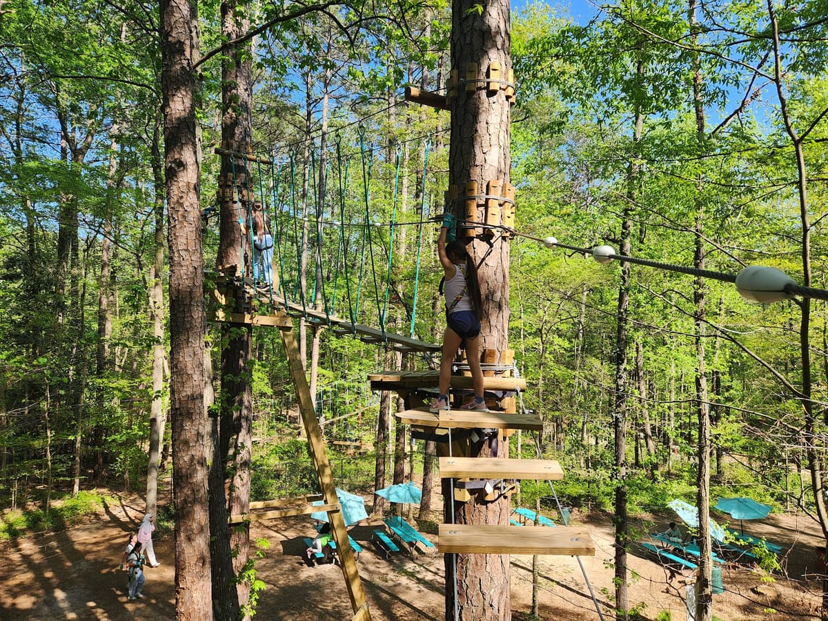 Treetop Quest Dunwoody Adventure Park and Ziplines
