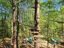 Treetop Quest Dunwoody Adventure Park and Ziplines
