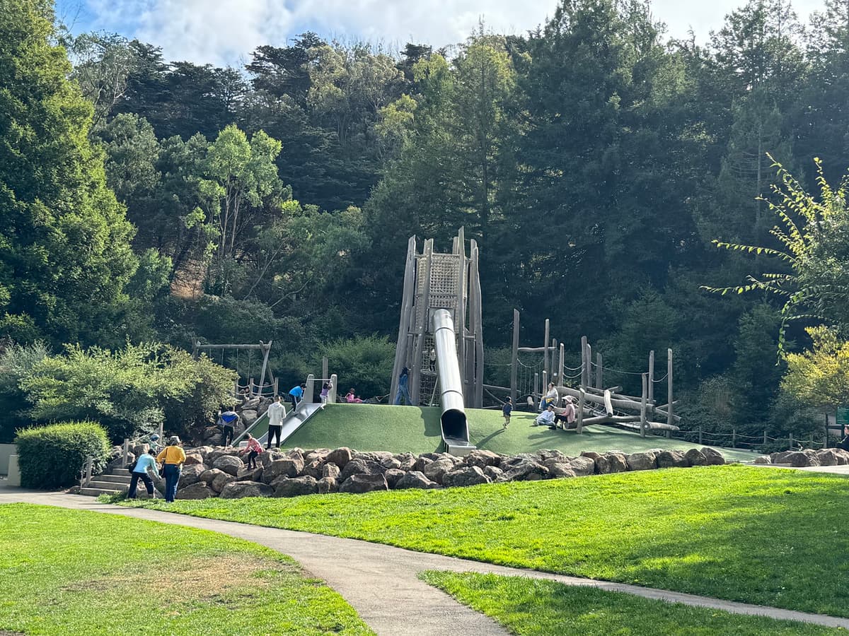 McLaren Redwood Playground