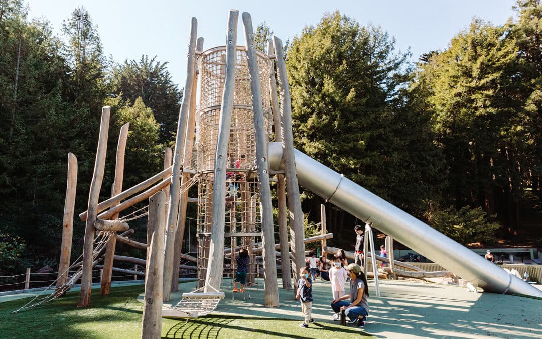 McLaren Redwood Playground
