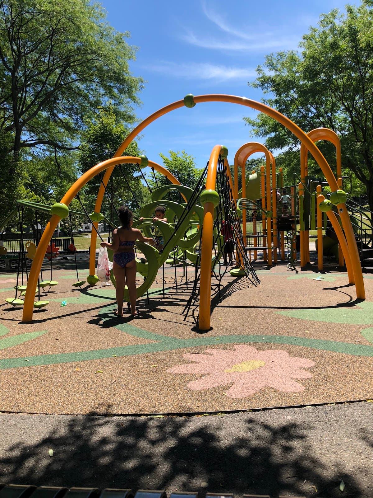 Hunt Almont Playground