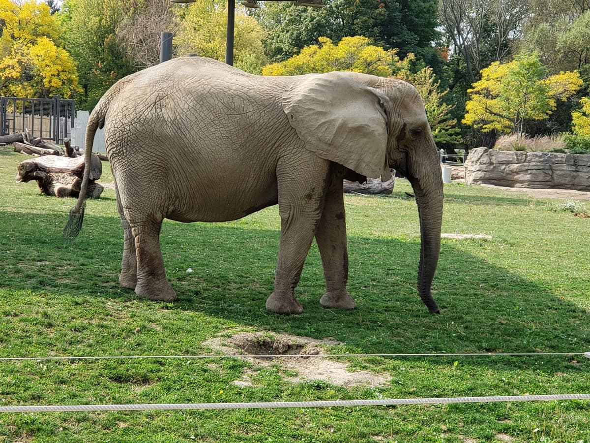 Zoological Society of Milwaukee