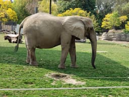 Zoological Society of Milwaukee