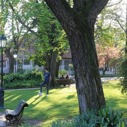 Jardim da Estrela