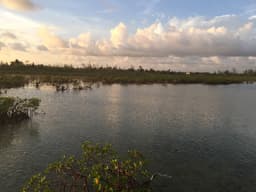 Bonefish Pond National Park Observatory