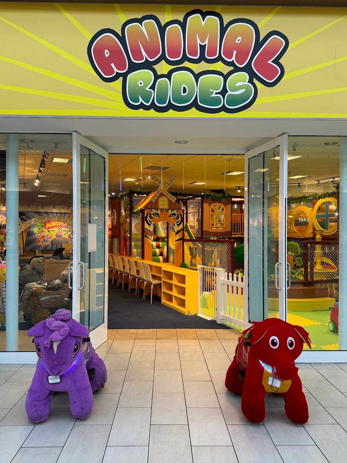 Animal Rides