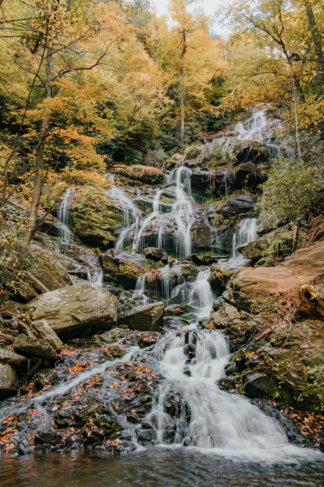 What Families Actually Spend in Asheville: Real Activity Costs
