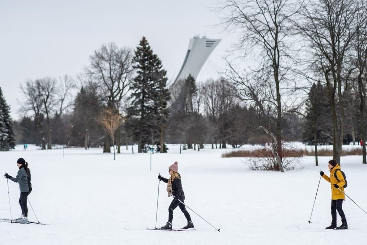 Maisonneuve Park