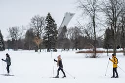 Maisonneuve Park