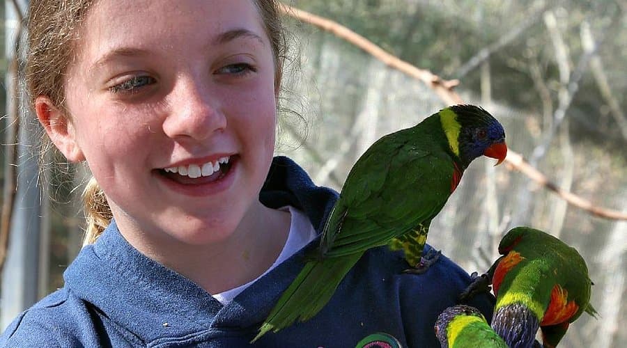 Lorikeet Glen — photo 1 of 6