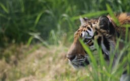 Greater Vancouver Zoo