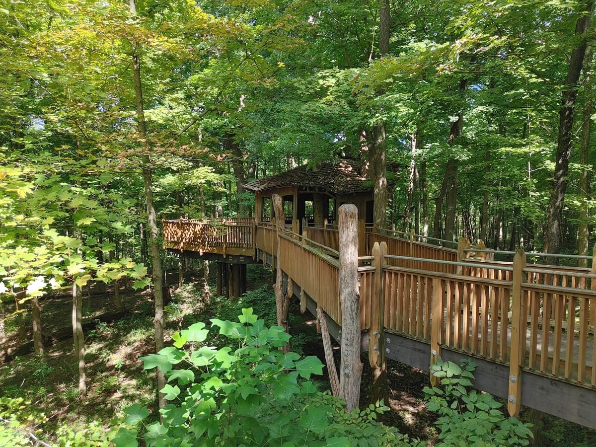 Mt. Airy Forest, photo 1 of 1