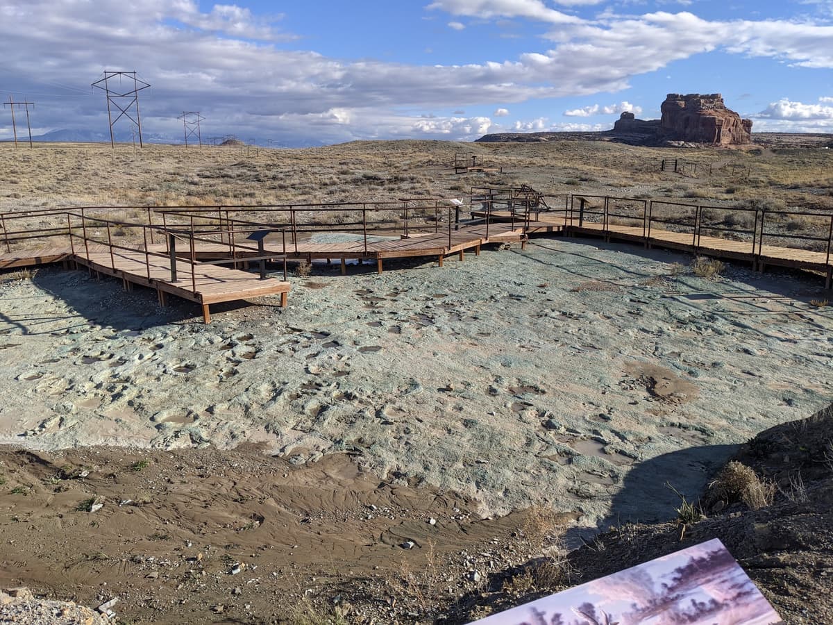Mill Canyon Dinosaur Tracksite