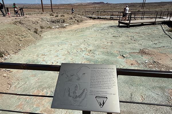 Mill Canyon Dinosaur Tracksite, photo 1 of 2