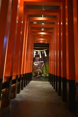 Ninja Trick House In Tokyo