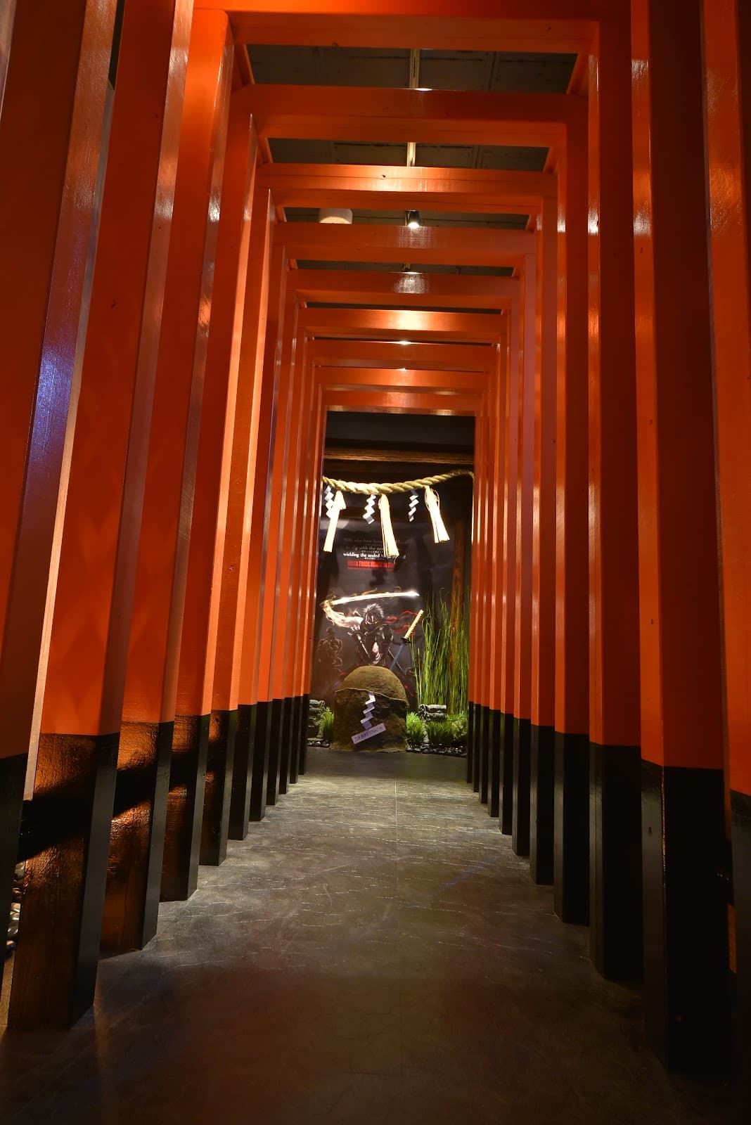 Ninja Trick House In Tokyo