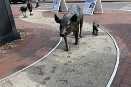 Asheville Urban Trail
