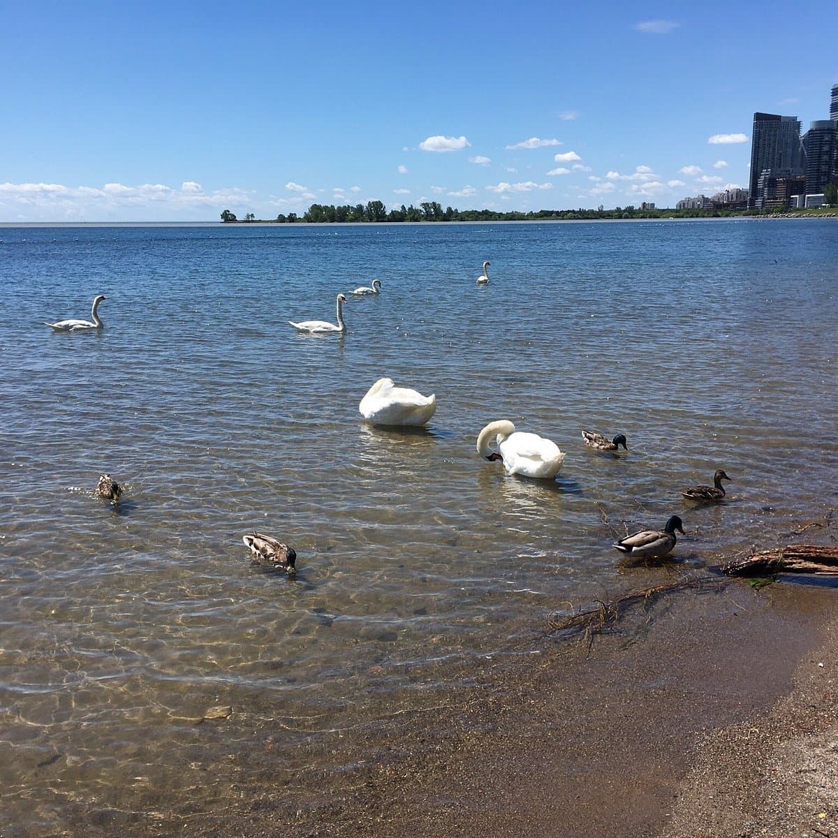 Sunnyside Park
