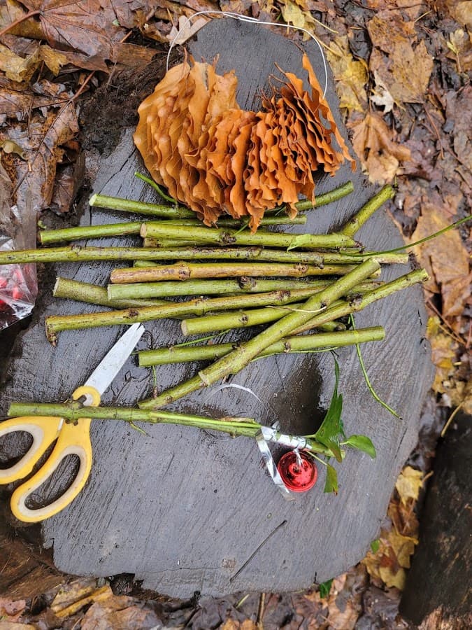 Urban Outdoors Adventures in nature Forest school