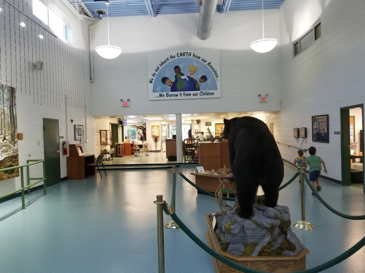 Jerome "Buddie" Ford Nature Center