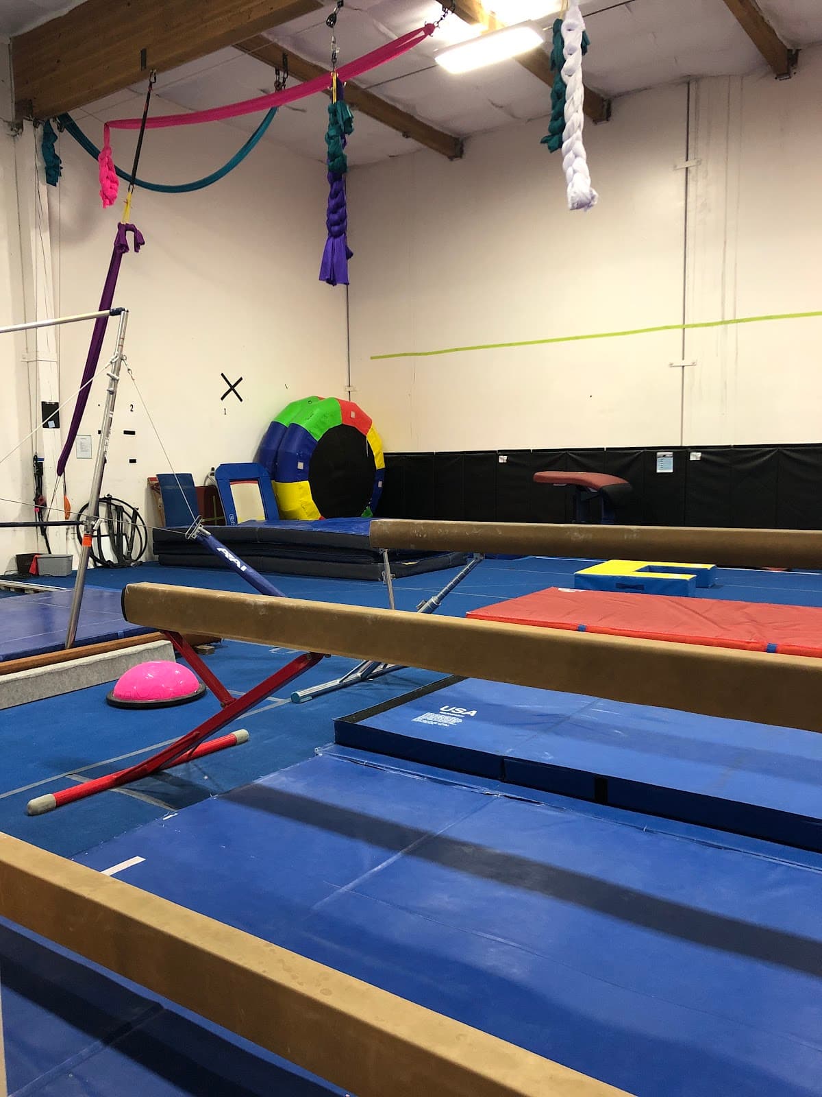 Inversion Gym