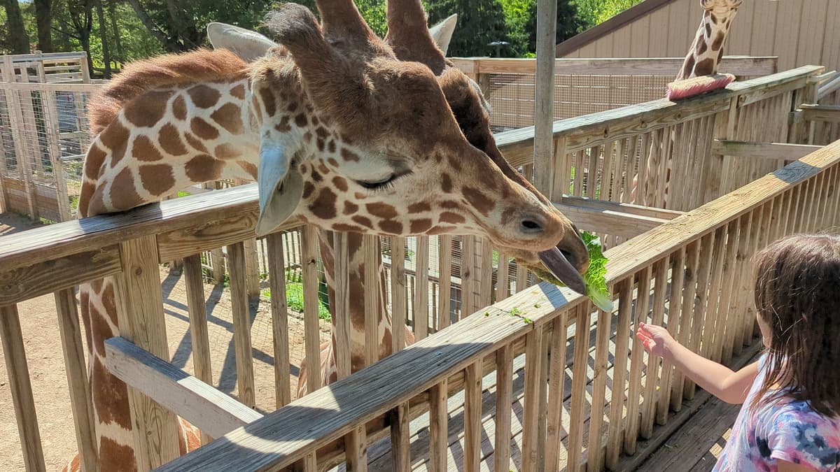 Philadelphia Toddler Activity Guide