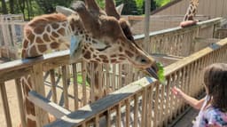 Elmwood Park Zoo