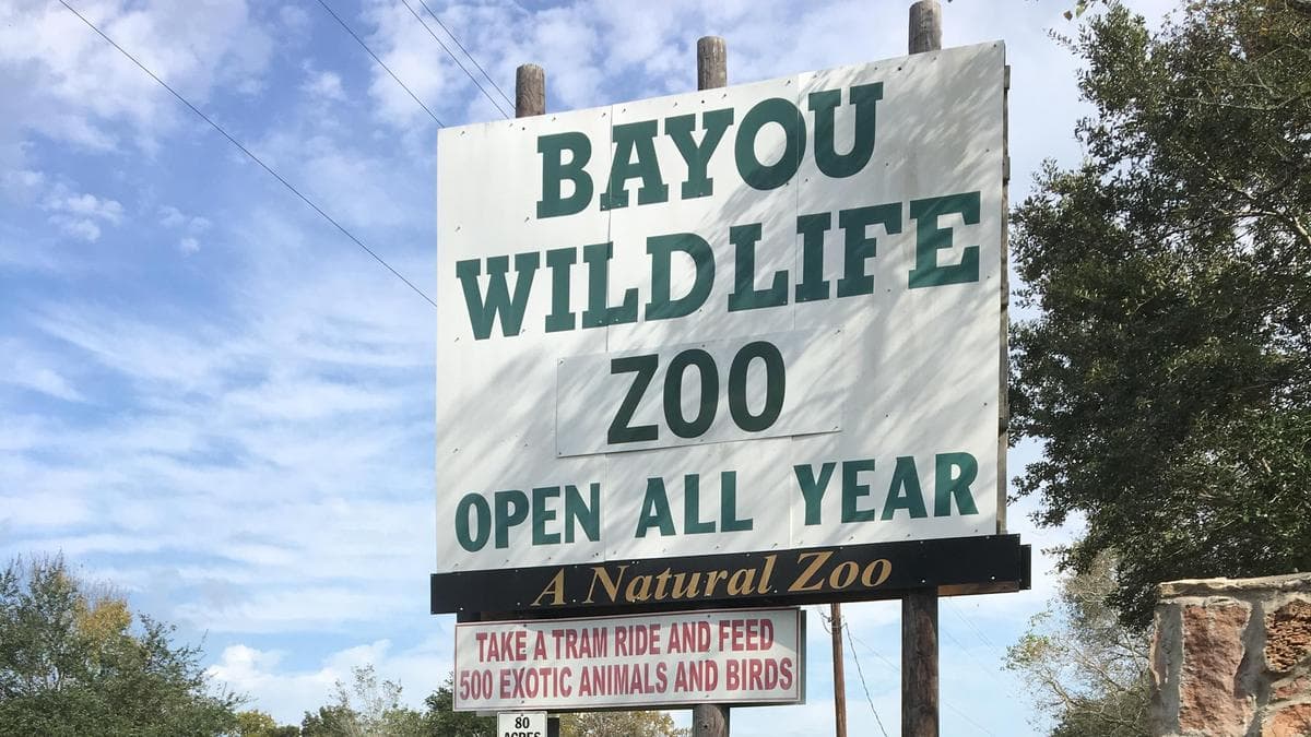Bayou Wildlife Zoo — photo 1 of 6