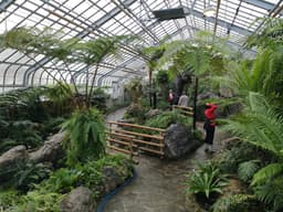 The Friends of the Botanical Garden of Montreal